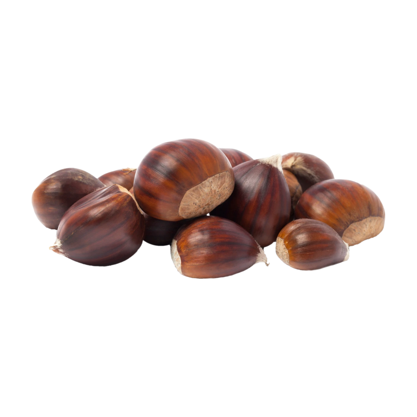 Chestnut