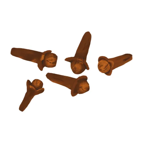 Clove