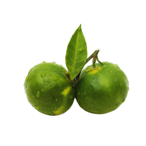Green Mandarin