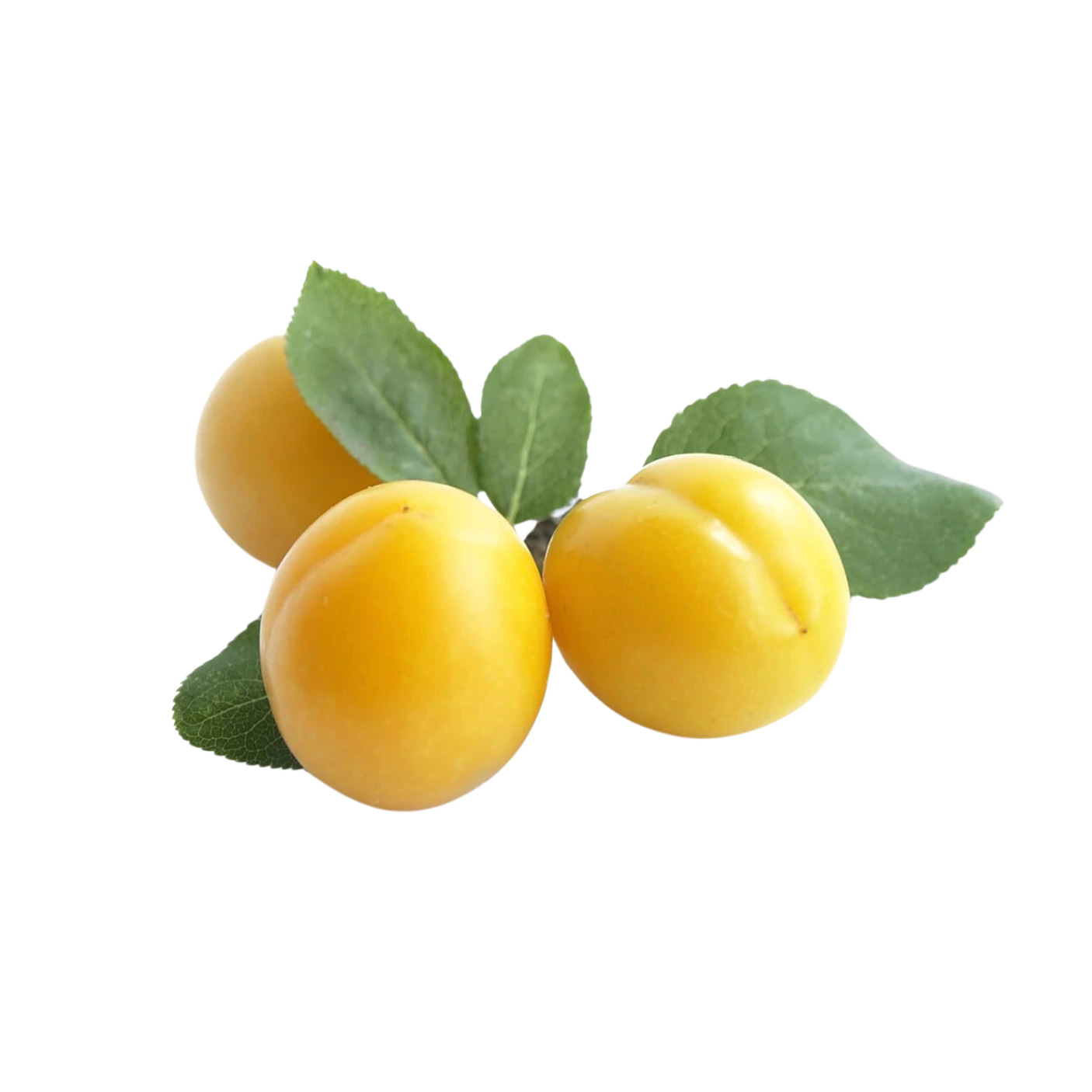 Mirabelle