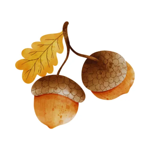 Oak