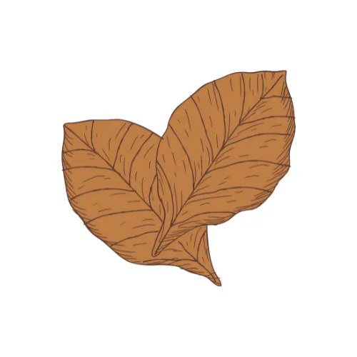 Tobacco