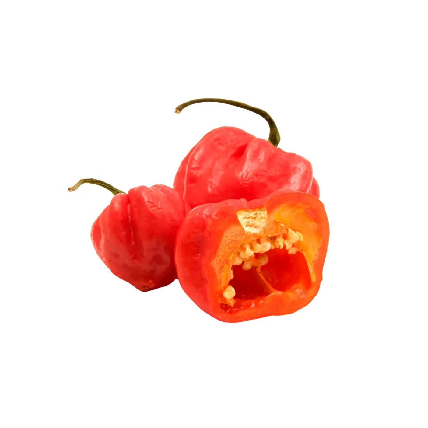 Pimento