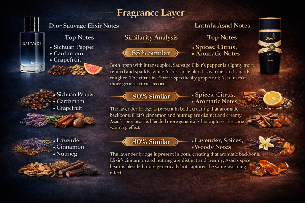 The Scent Breakdown Does Lattafa Asad Smell Like Dior Sauvage Elixir The Scent Breakdown Does Lattafa Asad Smell Like Dior Sauvage Elixir